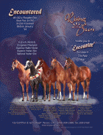 Encountered-background photos and graphics by Jennifer Rider