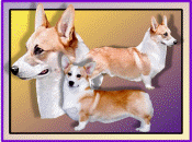 Custom Specialty Notecard - by Jennifer Rider